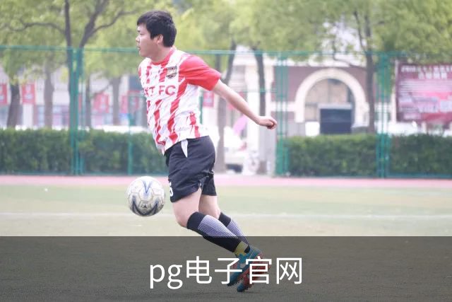 pg电子官网公司简介展示图